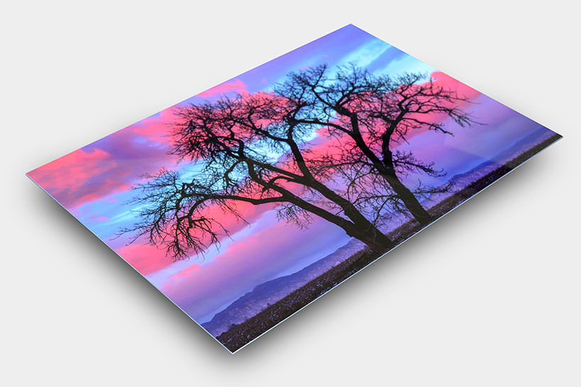 A metal print of a tree silhouette and pink clouds
