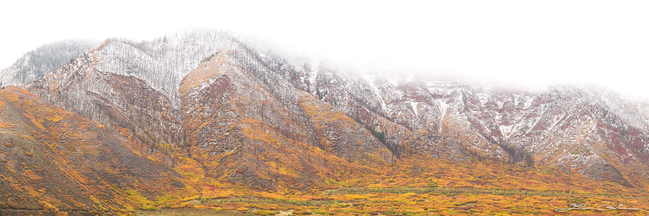 Fall color hills with fresh snow and fog