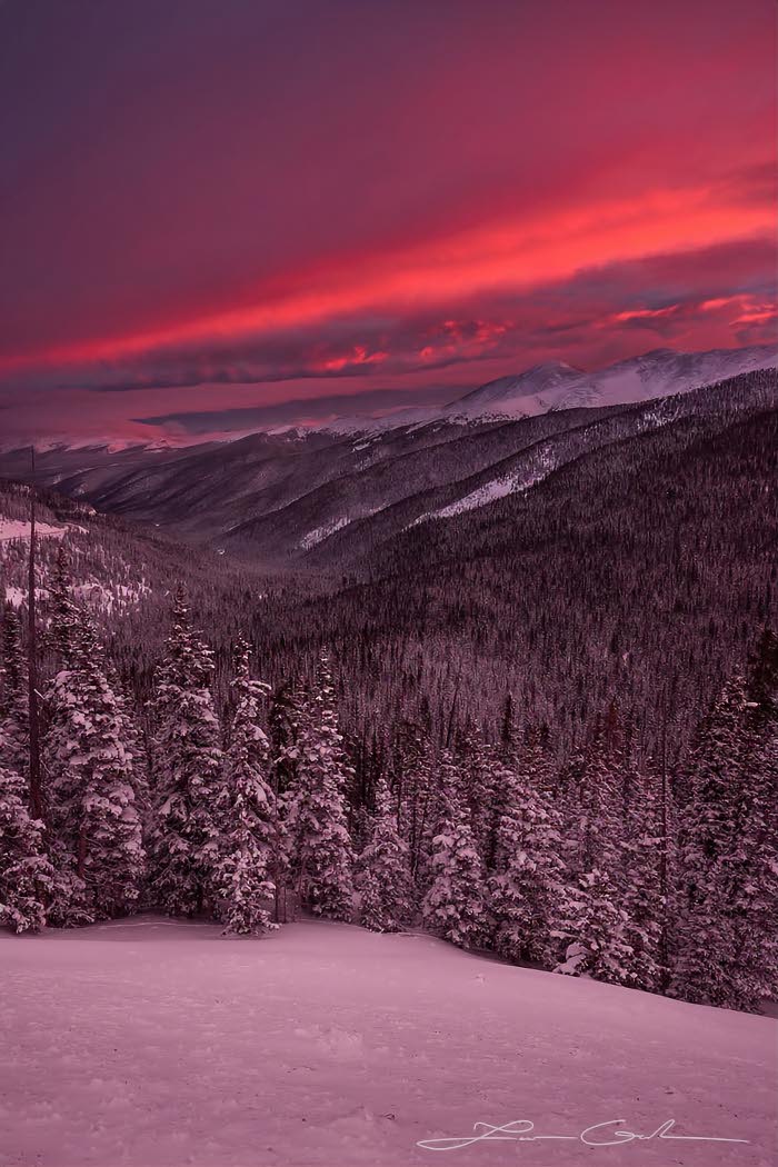 Snow covered pine trees and mountains with a dramatic red winter sunrise