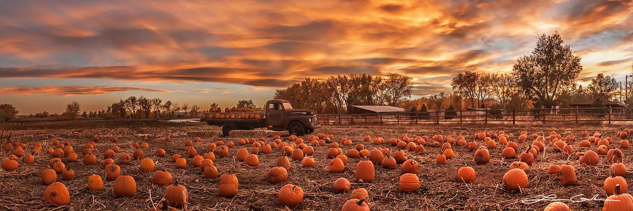 A field of pumpkins and an old truck under beautiful dramatic sunset clouds and skies - Small
