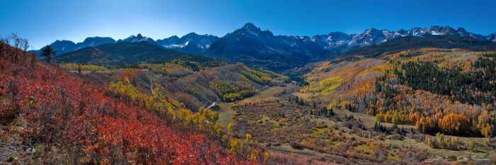 Red and orange fall colors of trees, shrubs around a beautiful valley and big mountains with blue skies