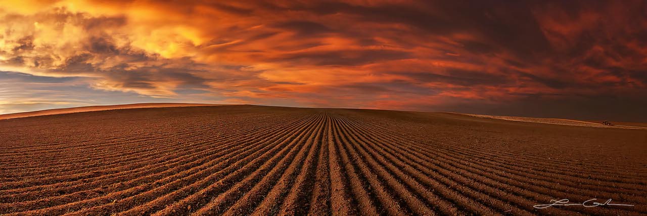 A field with furrows and very dramatic clouds with orange and yellow sunset colors - Small