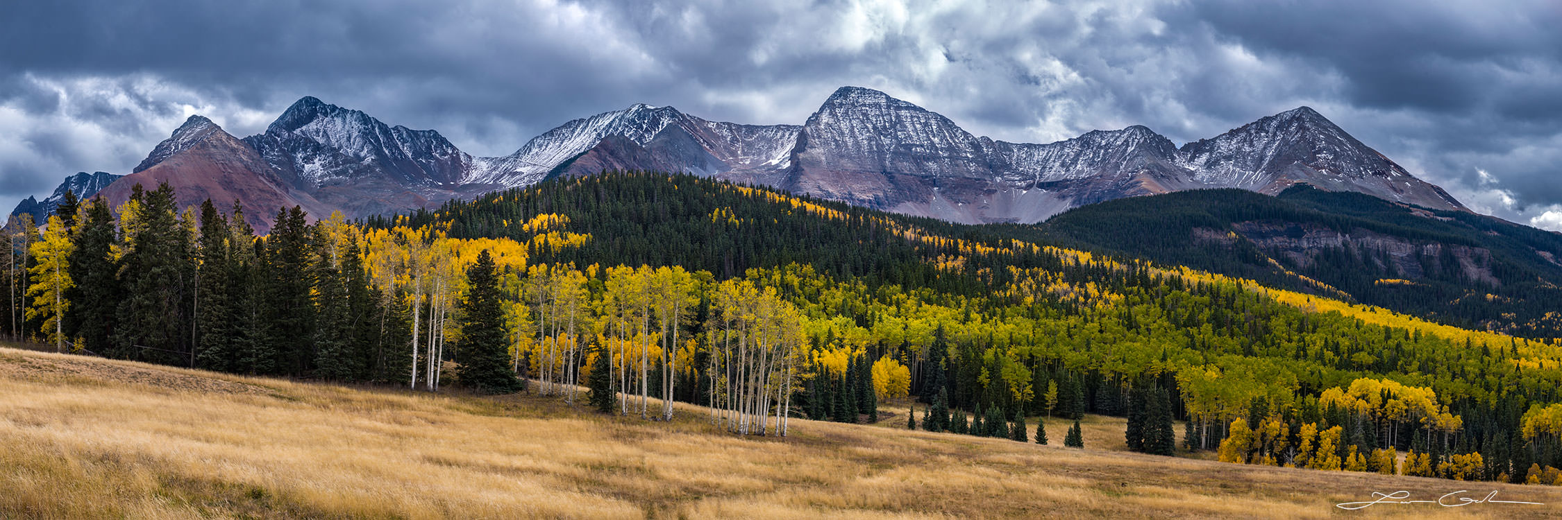 A panorama of yellow aspen trees, evergreen trees and beautiful mountains