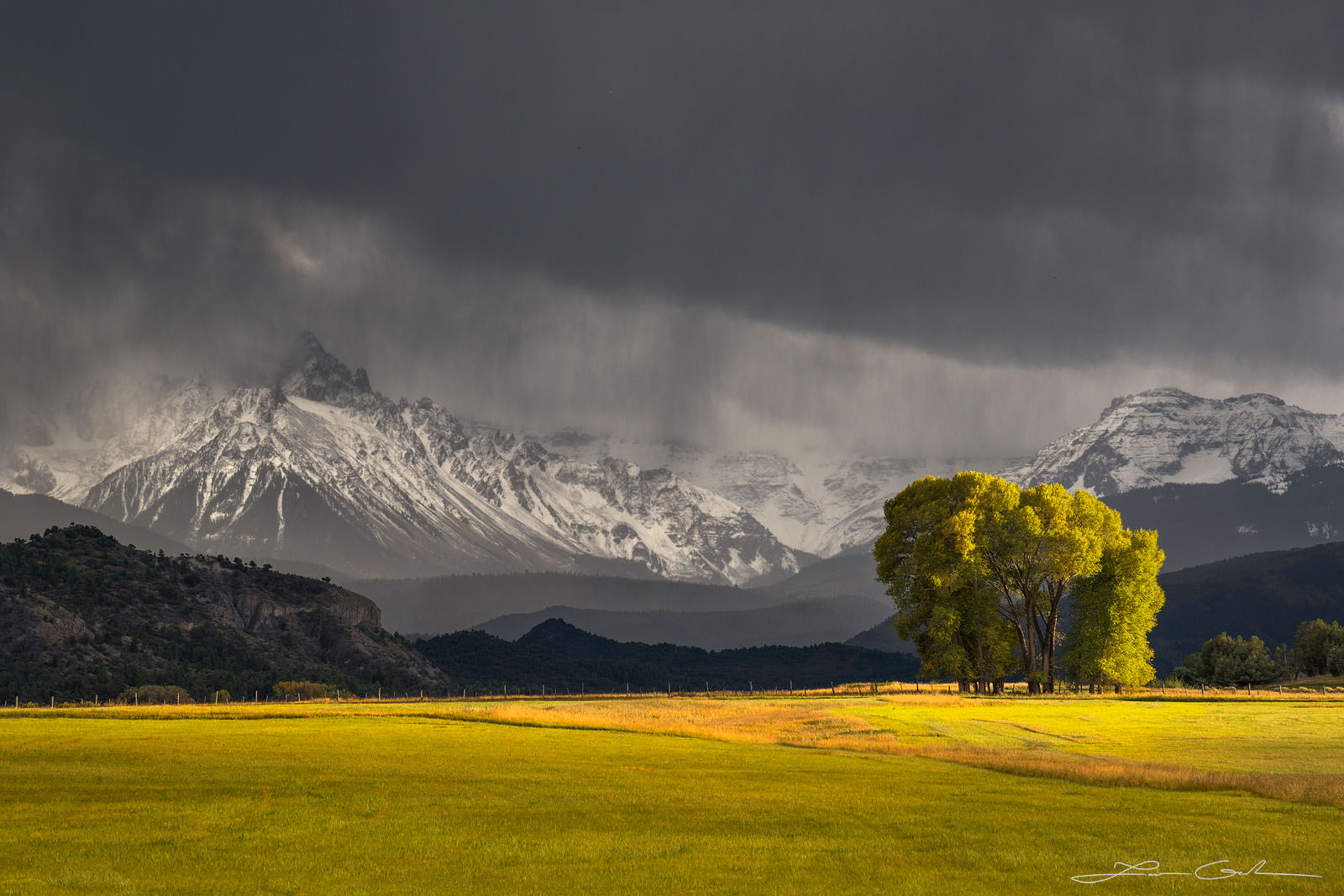 A sunlit meadow and tree with snow covered mountains and an approaching rain storm