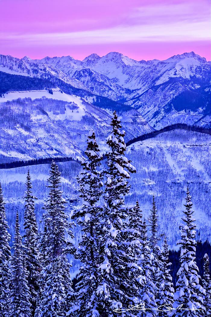 Snow covered pine trees, mountains and pink sunrise clouds in Vail, Colorado