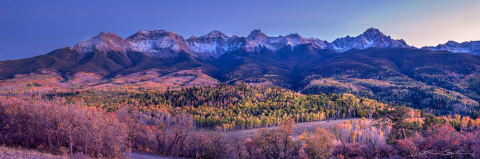 A panorama of a snowy and jagged mountain range with fall color aspen trees