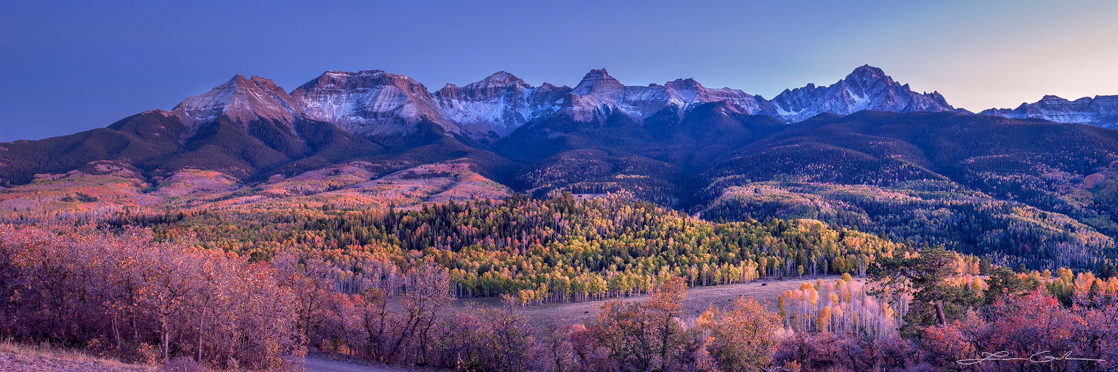 A panorama of a snowy and jagged mountain range with fall color aspen trees