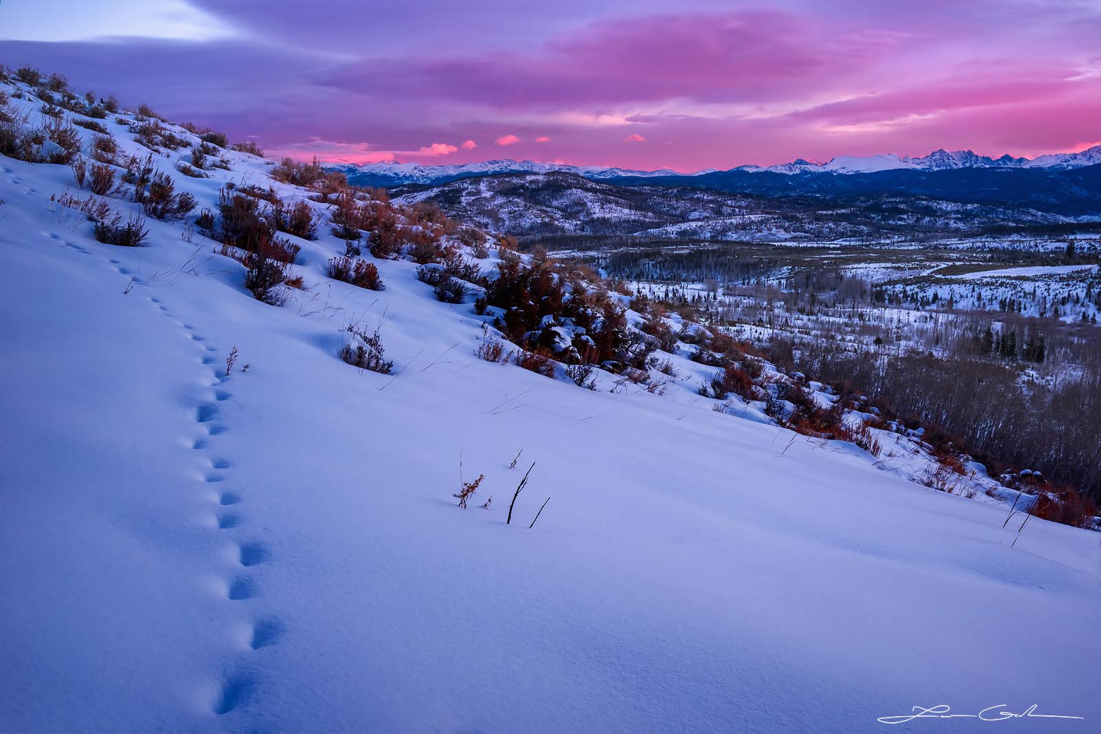 Wildlife tracks in snow with mountains and pink sunrise clouds in the background