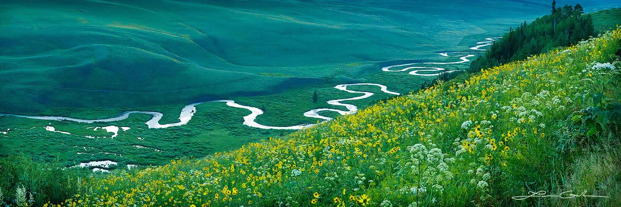 A meandering river in a green mountain valley and a field of wildflowers, Crested Butte, Colorado - Small