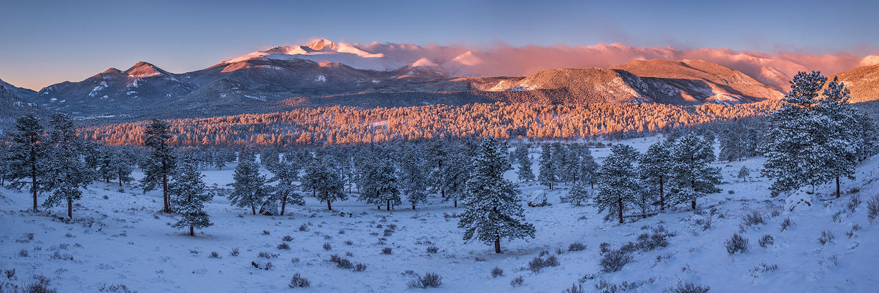 A winter sunrise panorama with lots of trees and snow