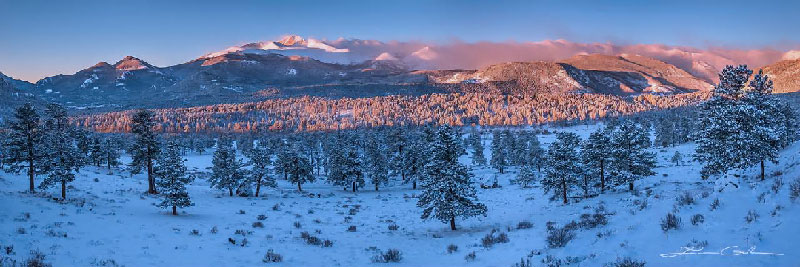 A winter panorama of snow covered trees and mountains during sunrise - Cold white balance