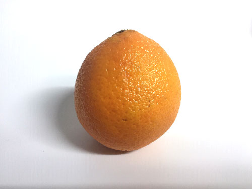 A single clementine and a white background