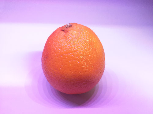 A single clementine and a purple background