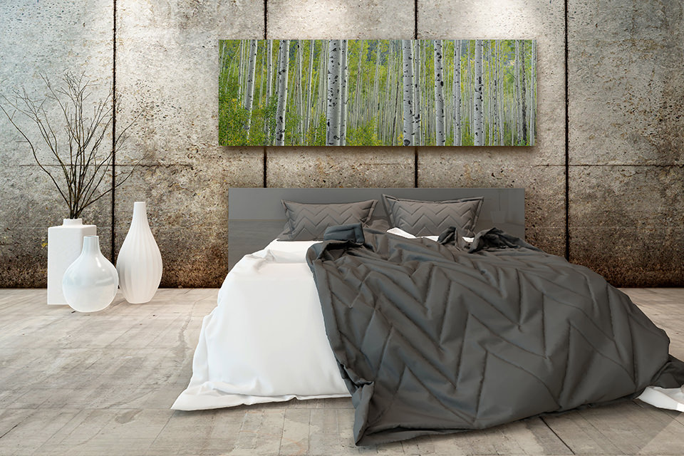 Contemporary fine art nature photography print of an aspen forest on a bedroom wall