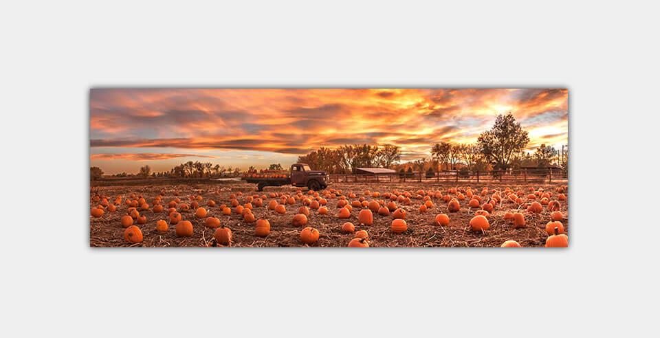 A panoramic print of pumpkins and dramatic skies on a light grey wall