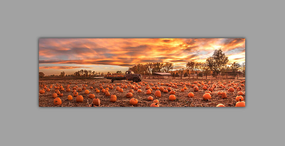 A panoramic print of pumpkins and dramatic skies on a grey wall