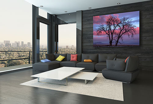 Interior design with Gintchin Fine Art print above a modern sofa in a contemporary home