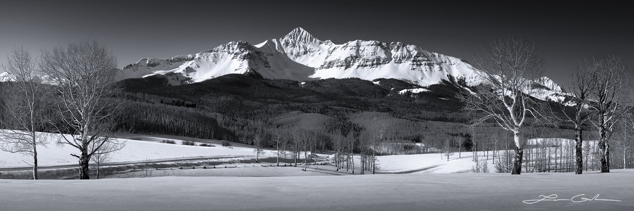 Black and white winter scene of a snowfield, aspen trees and Wilson Peak in the background - Small