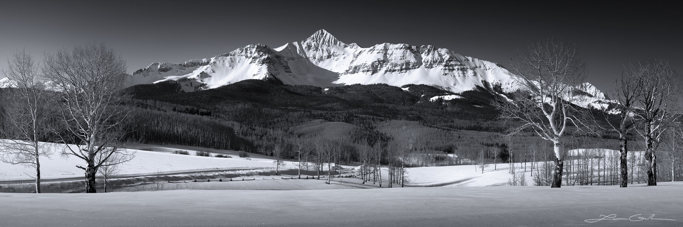 Black and white winter scene of a snowfield, aspen trees and Wilson Peak in the background