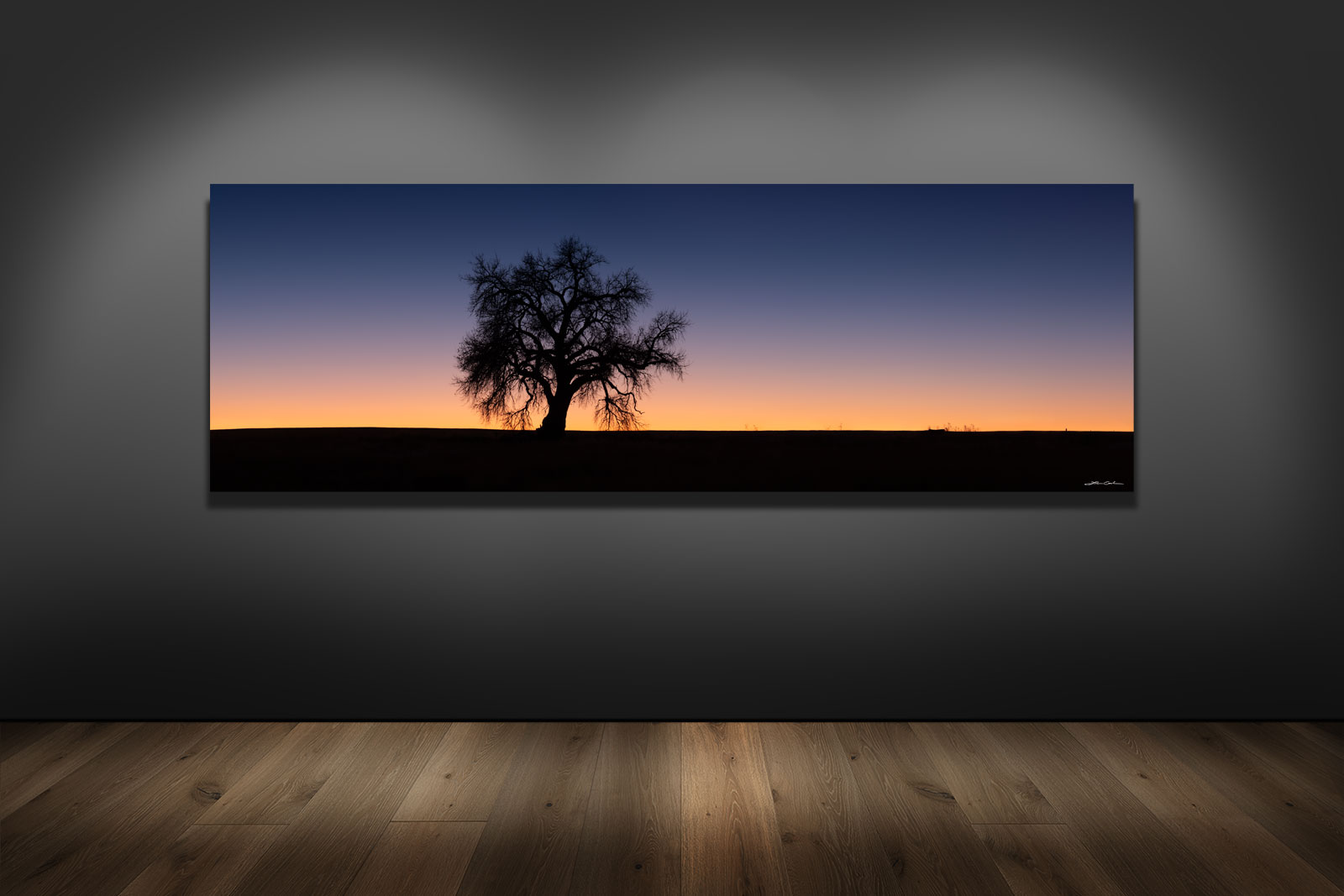 A panoramic fine art image of a tree silhouette on a gallery wall