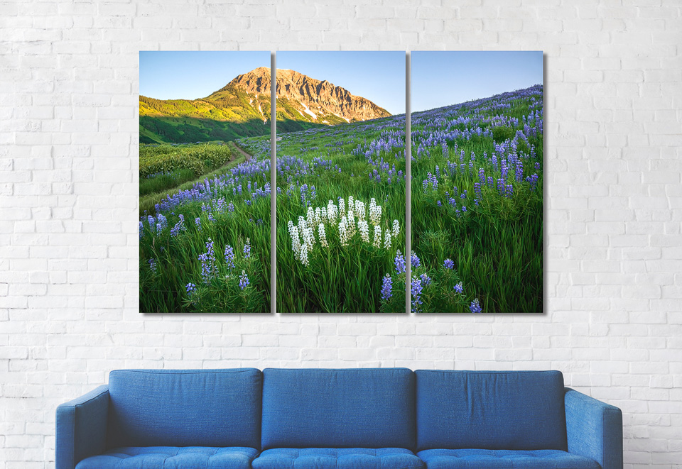 A beautiful triptych print of mountain and wildflowers on a white brick wall above a blue sofa interior