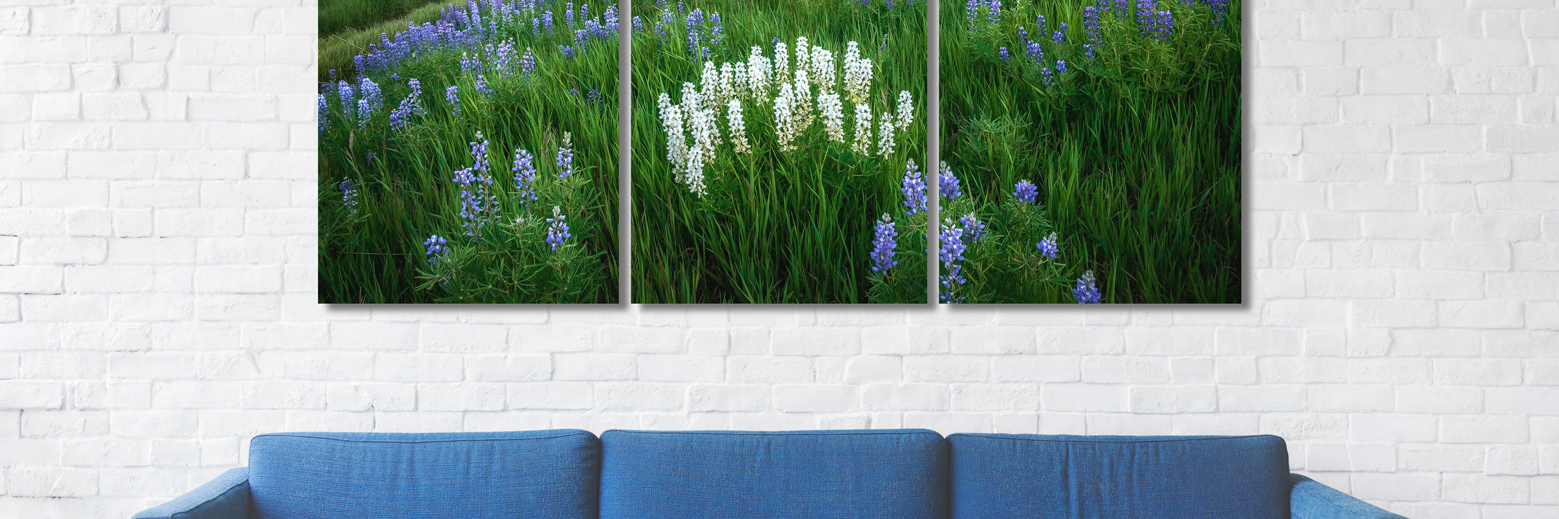 A beautiful panoramic triptych print of wildflowers on a white brick wall above a blue sofa interior