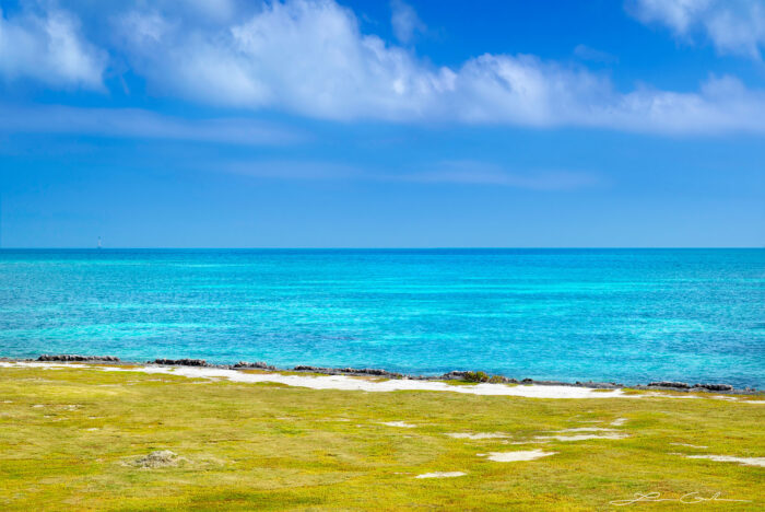A colorful turquoise ocean with green grass in the foreground and blue sky with clouds - Florida Keys - a fine art photograph by Lazar Gintchin.