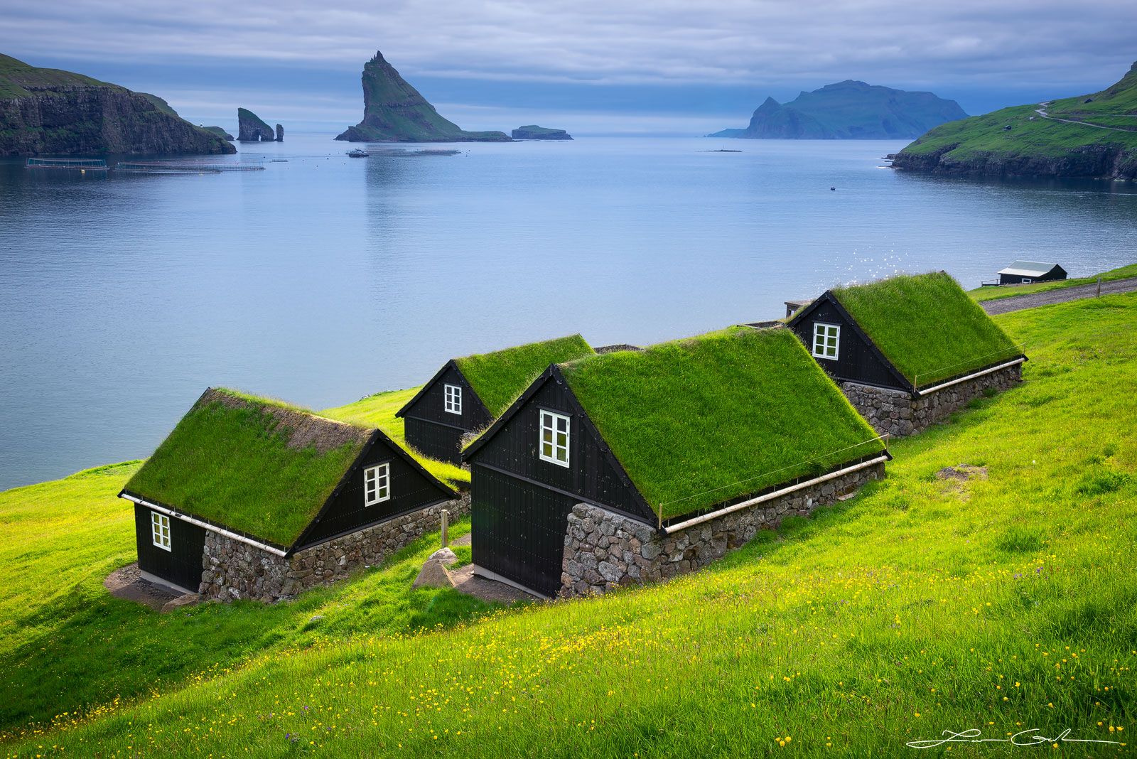 Beautiful green roof cottages by the ocean shore - Faroe Islands - Gintchin Fine Art