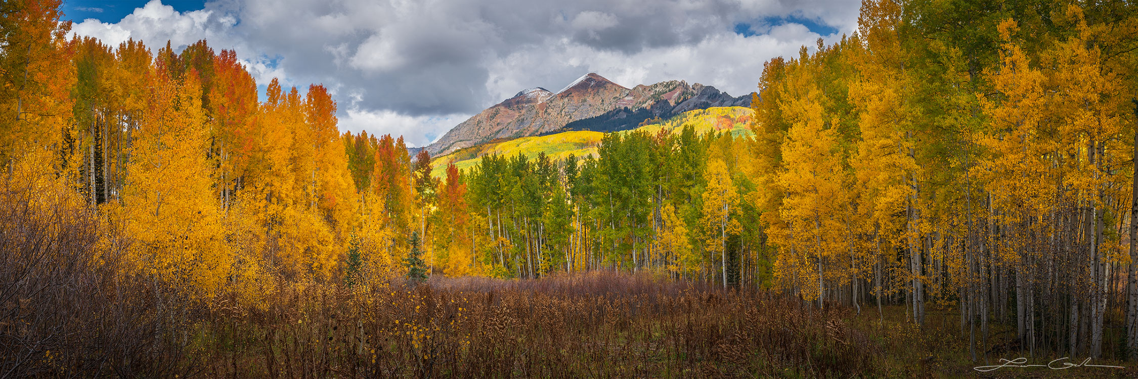 Aspen forest cathedral with yellow aspens and mountains peaks in the background - Gintchin Fine Art