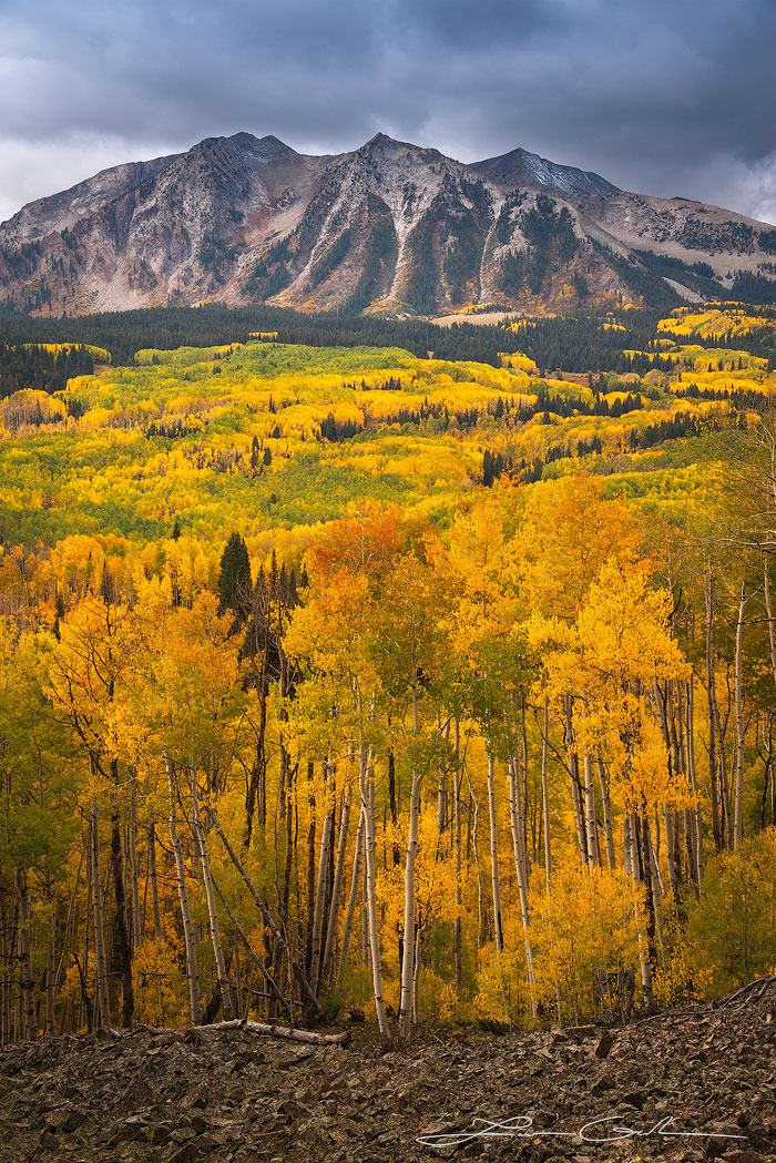 Autumn aspen trees with beatuful mountains and dark clouds in the background - Gintchin Fine Art