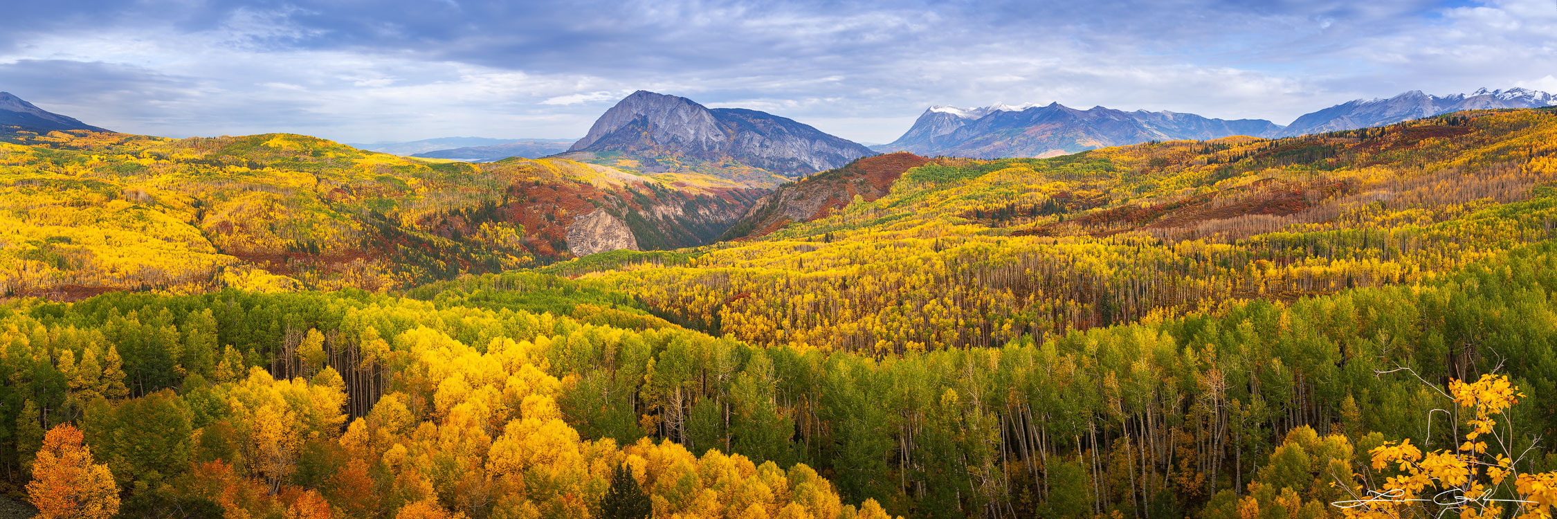A large aspen tree valley with beautiful autumn colored leaves and mountains in the background - Gintchin Fine Art
