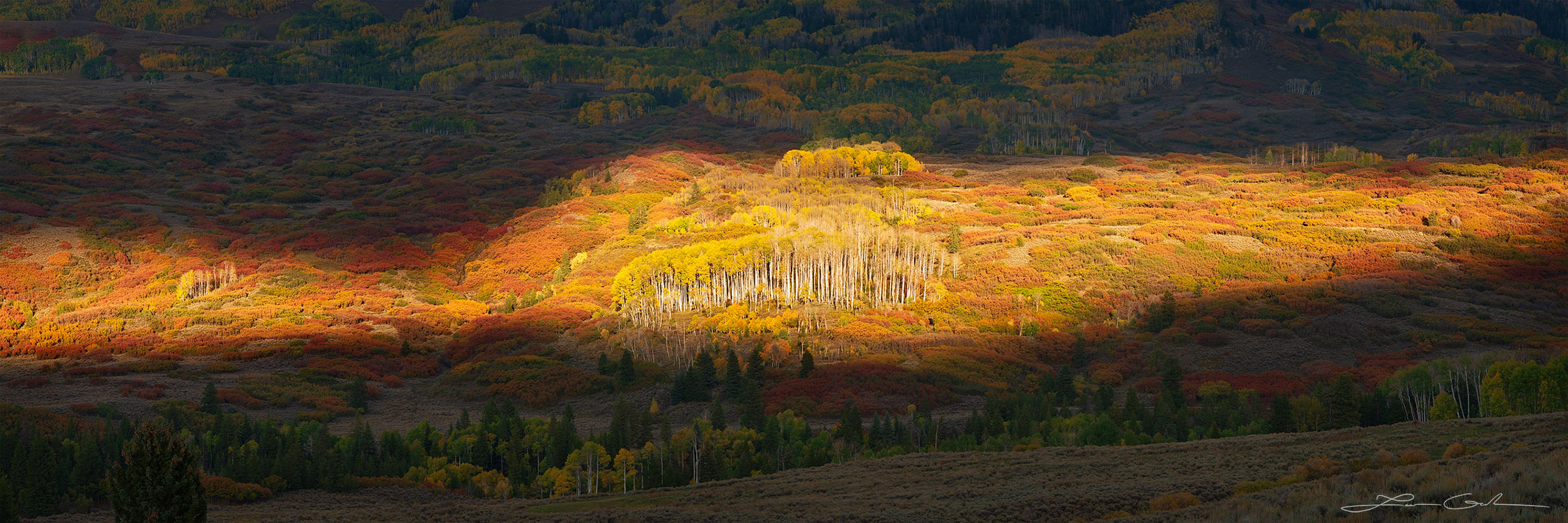 A band of sunlight illuminates Colorado fall colors hills with some aspen trees - Gintchin Fine Art