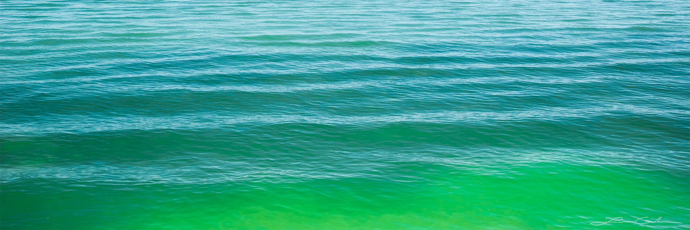Green ocean water with gentle ripples - Gintchin Fine Art