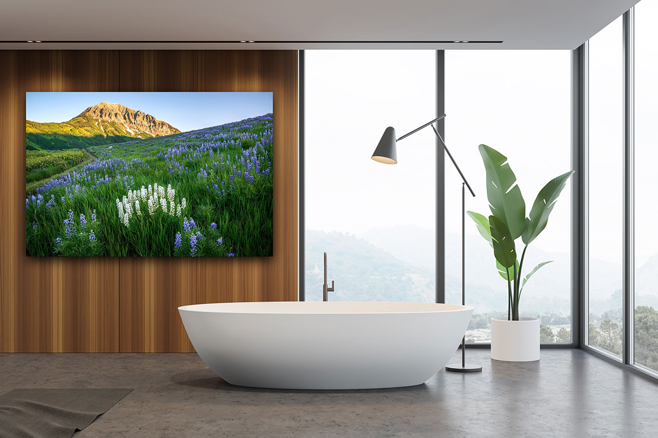 Photography wall decor for bathroom - Fine Art Wall Print - Gintchin Fine Art