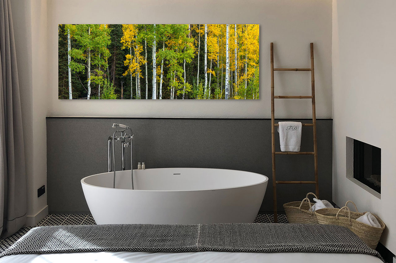 Photography wall decor for bathroom - Fall Color Aspen Trees - Gintchin Fine Art