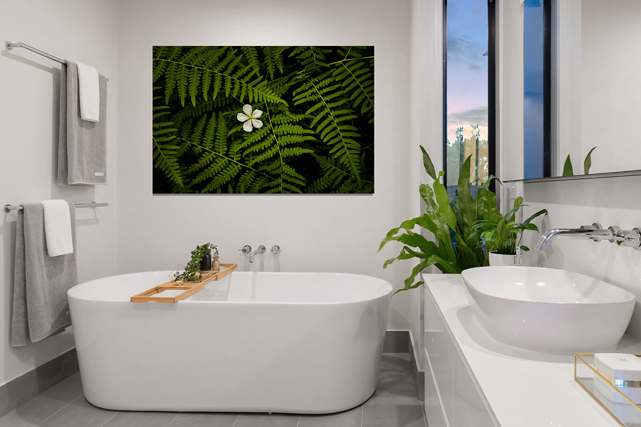 Photography wall decor for bathroom - Fern and Flower - Gintchin Fine Art