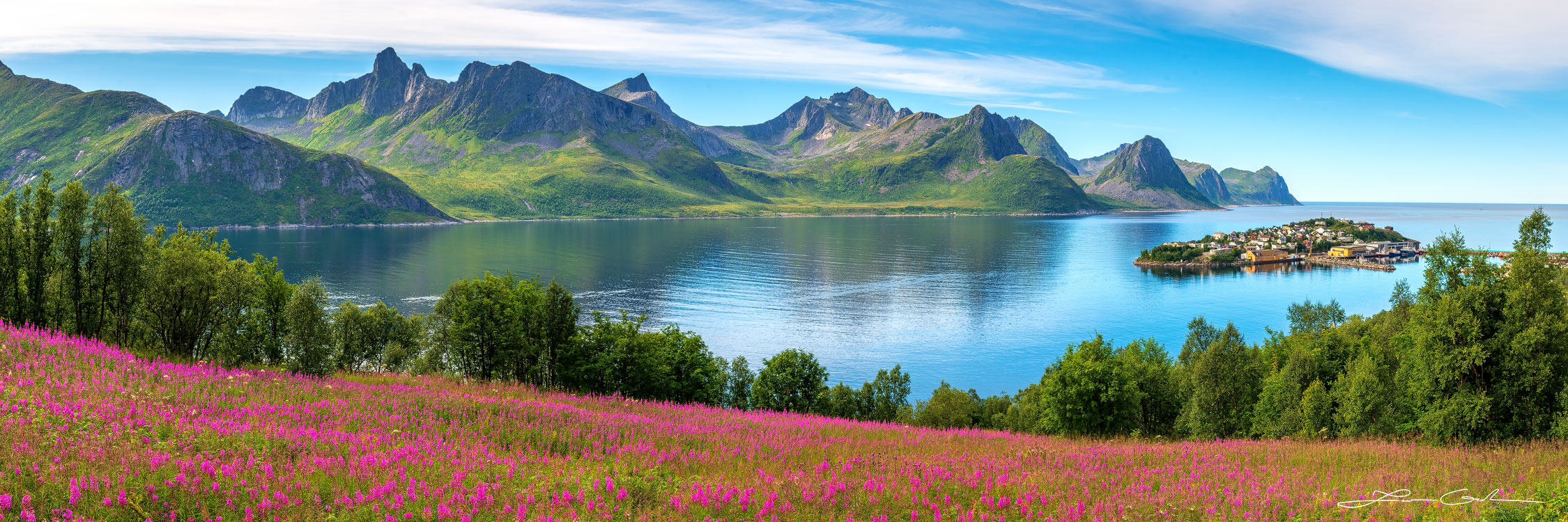 A panorama of wildflowers, sea water, mountains, and a tiny island village in Senja, Norway - Gintchin Fine Art