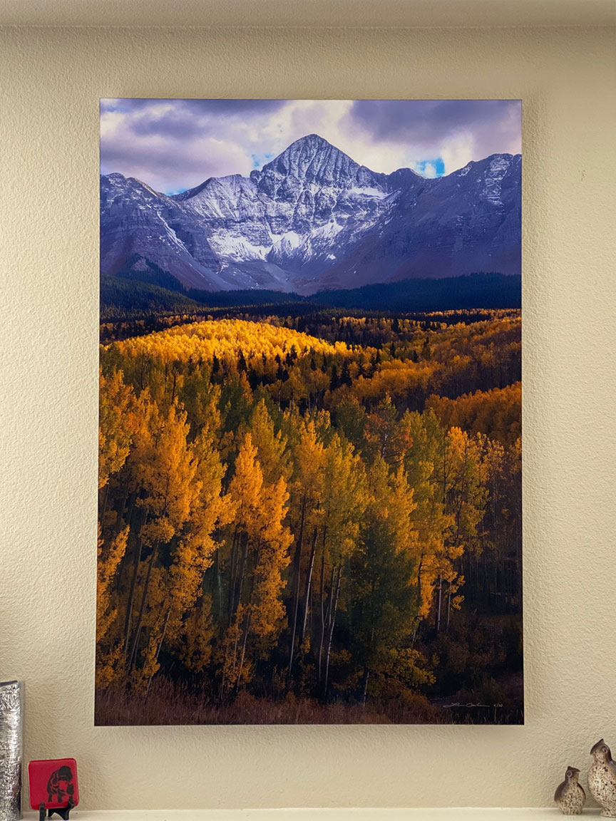A print of a snowy peak and yellow aspens on a wall - Gintchin Fine Art