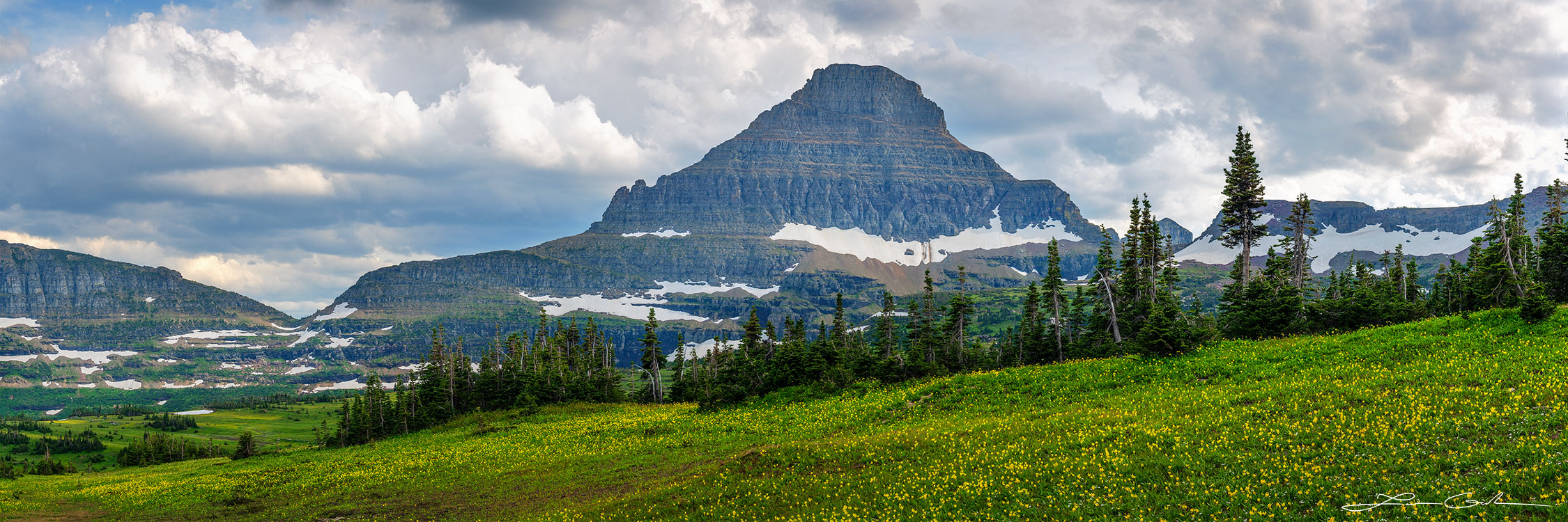 An alpine meadow with yellow wildflowers, pine trees and a beautiful mountain in Glacier National Park, Montana - Gintchin Fine Art