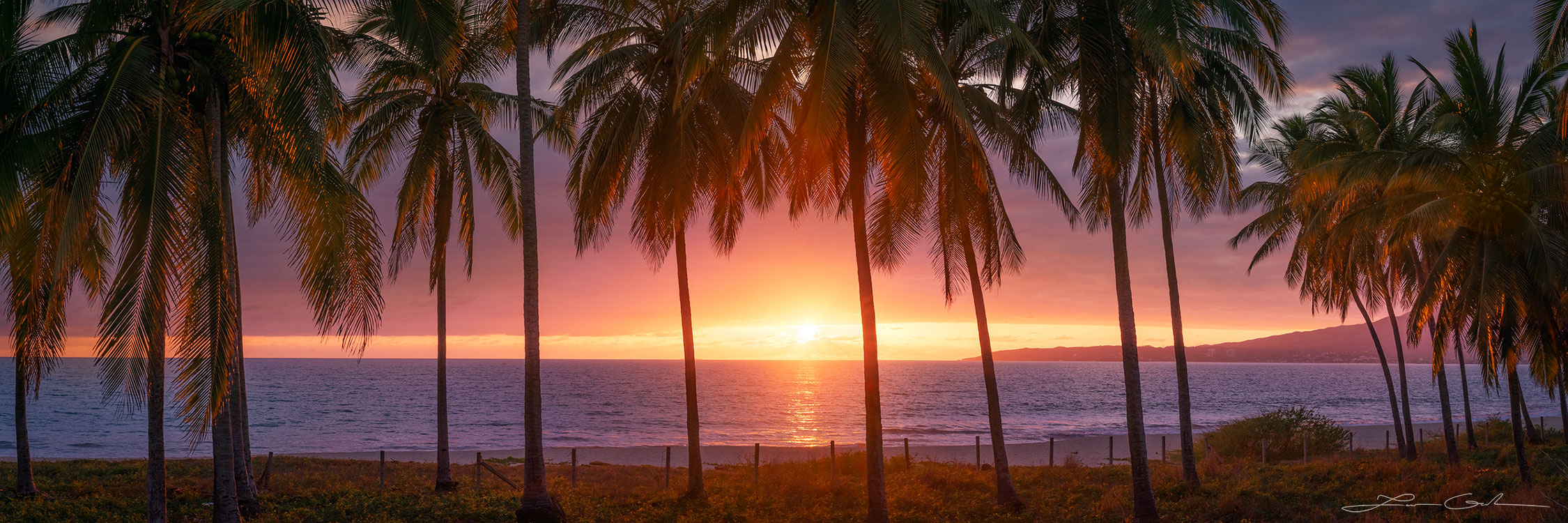 A row of palm trees on the pacific ocean in Mexico at sunset with beautiful light and clouds - Gintchin Fine Art