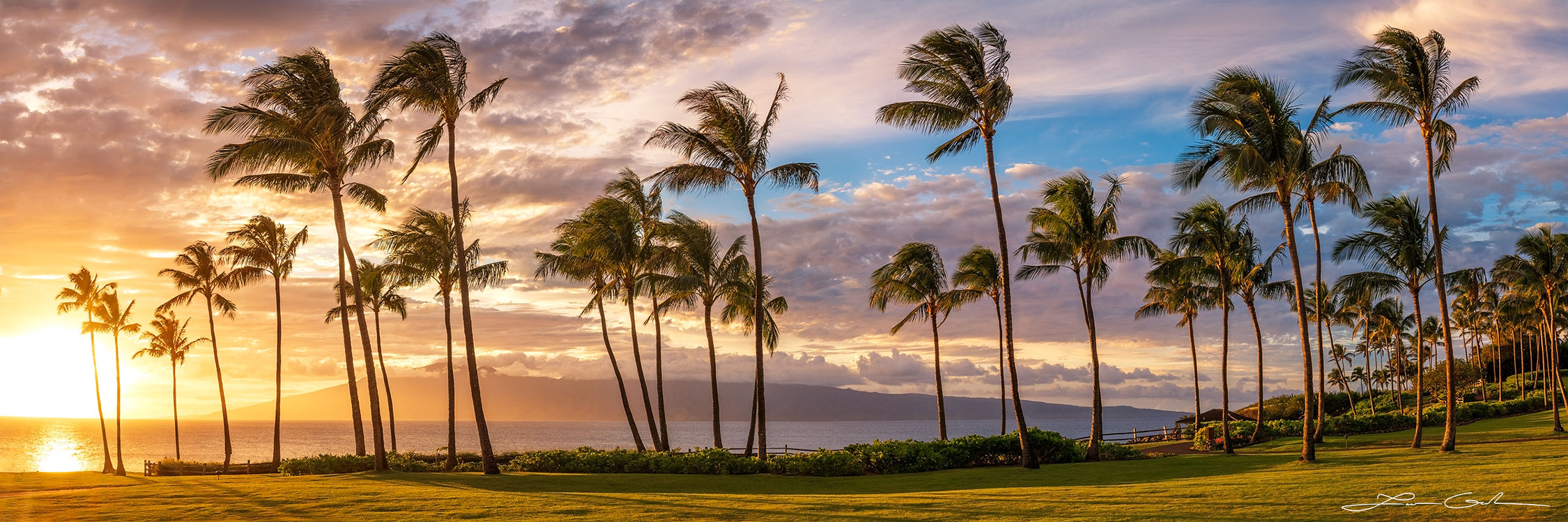 'Hawaiian Paradise' is a fine art photo print showcasing Maui, Hawaii. The image displays tall palm trees on a lush meadow beside a sparkling ocean. The sunset casts a golden hue over the scene, contrasting against a blue sky dotted with clouds. A distant island silhouette adds depth. This captivating piece evokes the tranquil and vibrant spirit of Hawaii. - Gintchin Fine Art
