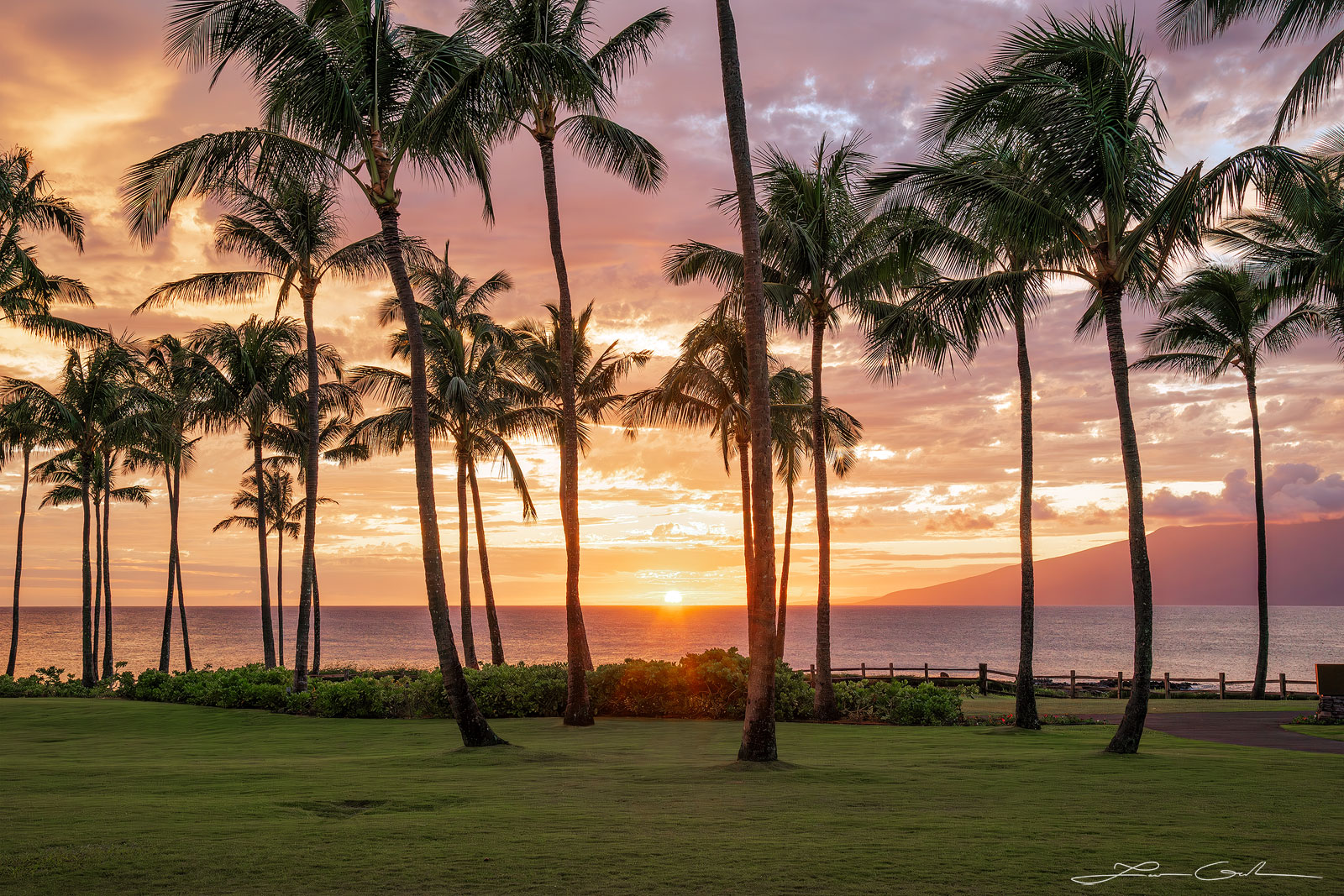 Fine art photo featuring a palm tree-populated grass field on the shore of Maui, under a vibrant sky filled with clouds and painted with hues of orange and pink by the setting sun - Gintchin Fine Art.