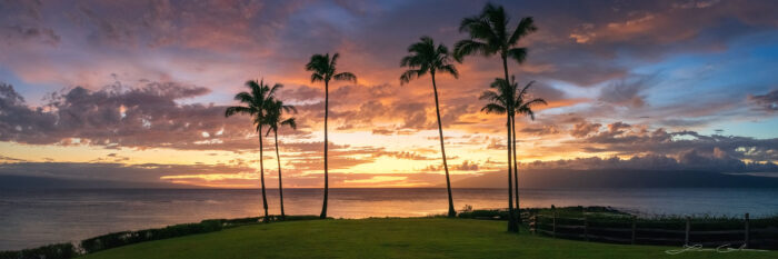 Tropical sunset in Hawaii with a grass meadow leading towards an ocean gateway of palm trees against a sky illuminated with the last golden light of the day - Gintchin Fine Art.