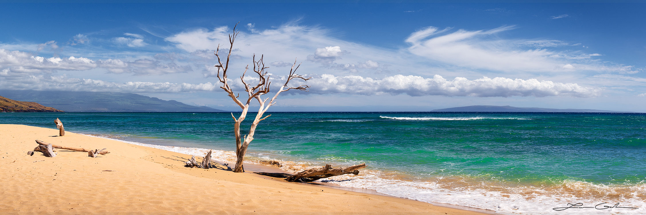Experience the serene beauty of a beach in Maui, HI with turquoise ocean, golden sand, and tree - Gintchin Fine Art.