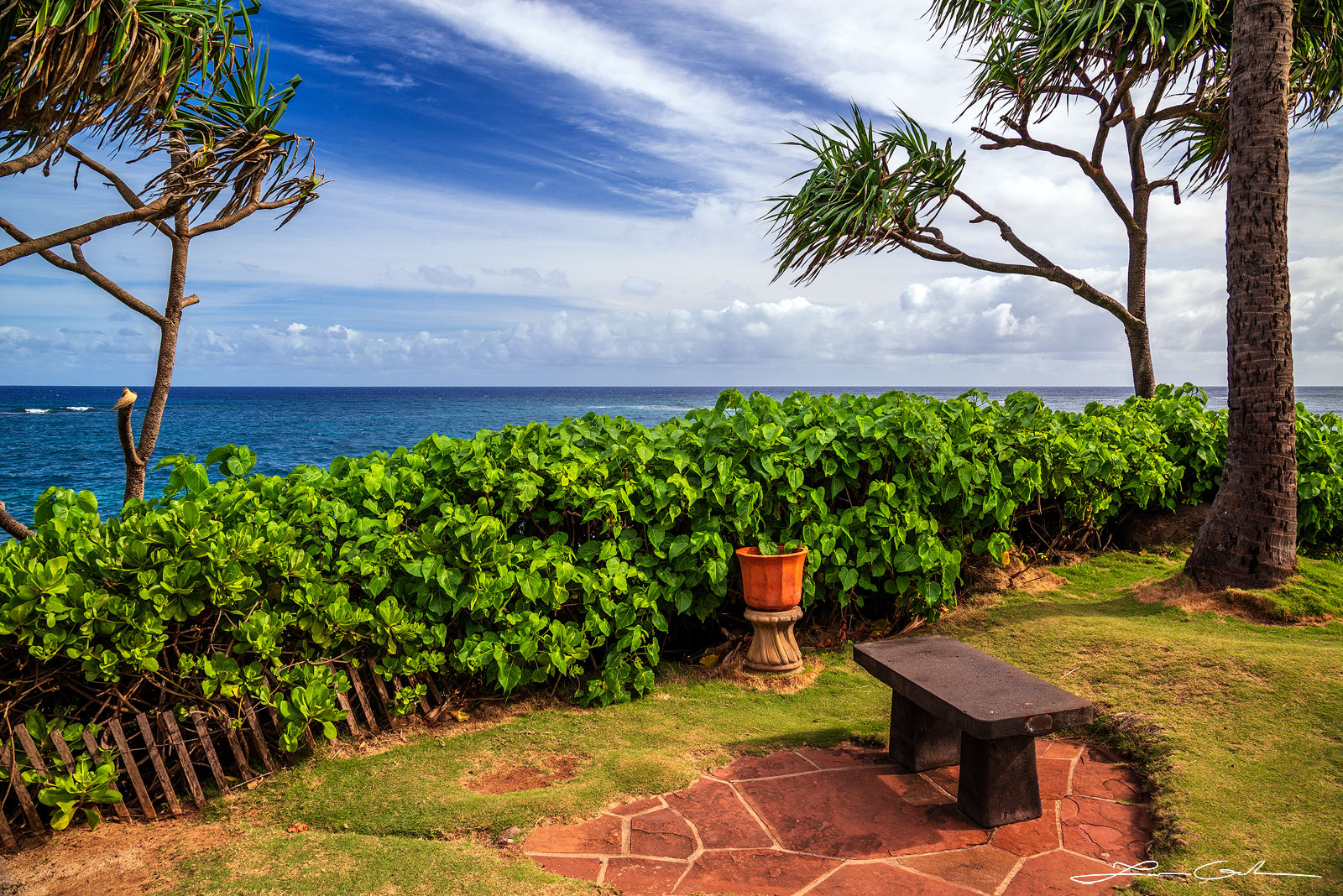 Shoreside Solace - A captivating fine art photo art print capturing an ocean view bench in Maui, adorned by a natural fence of lush green leaf plants. Palm trees sway in the tropical breeze as the deep blue ocean water glistens under the midday sun. White clouds adorn the vibrant blue sky, creating a serene atmosphere. Find solace in this mesmerizing scene. - Gintchin Fine Art