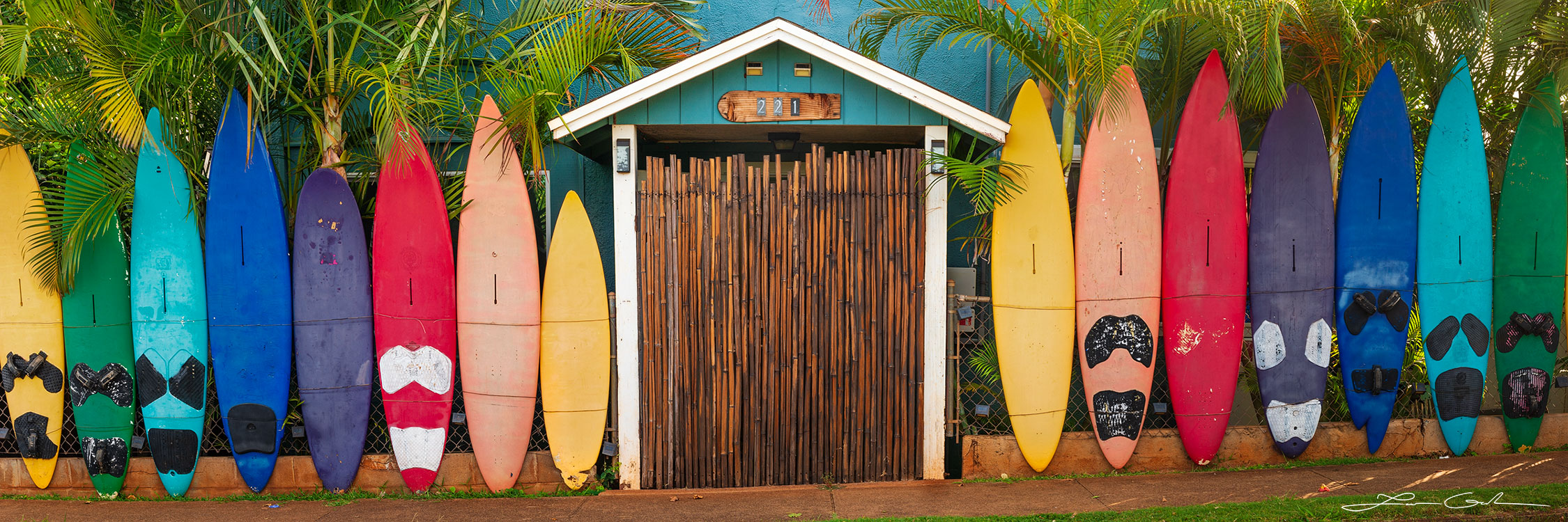 Panoramic image of a colorful surfboard fence in Maui, HI, with a bamboo door and palm trees peeking over - Gintchin Fine Art.