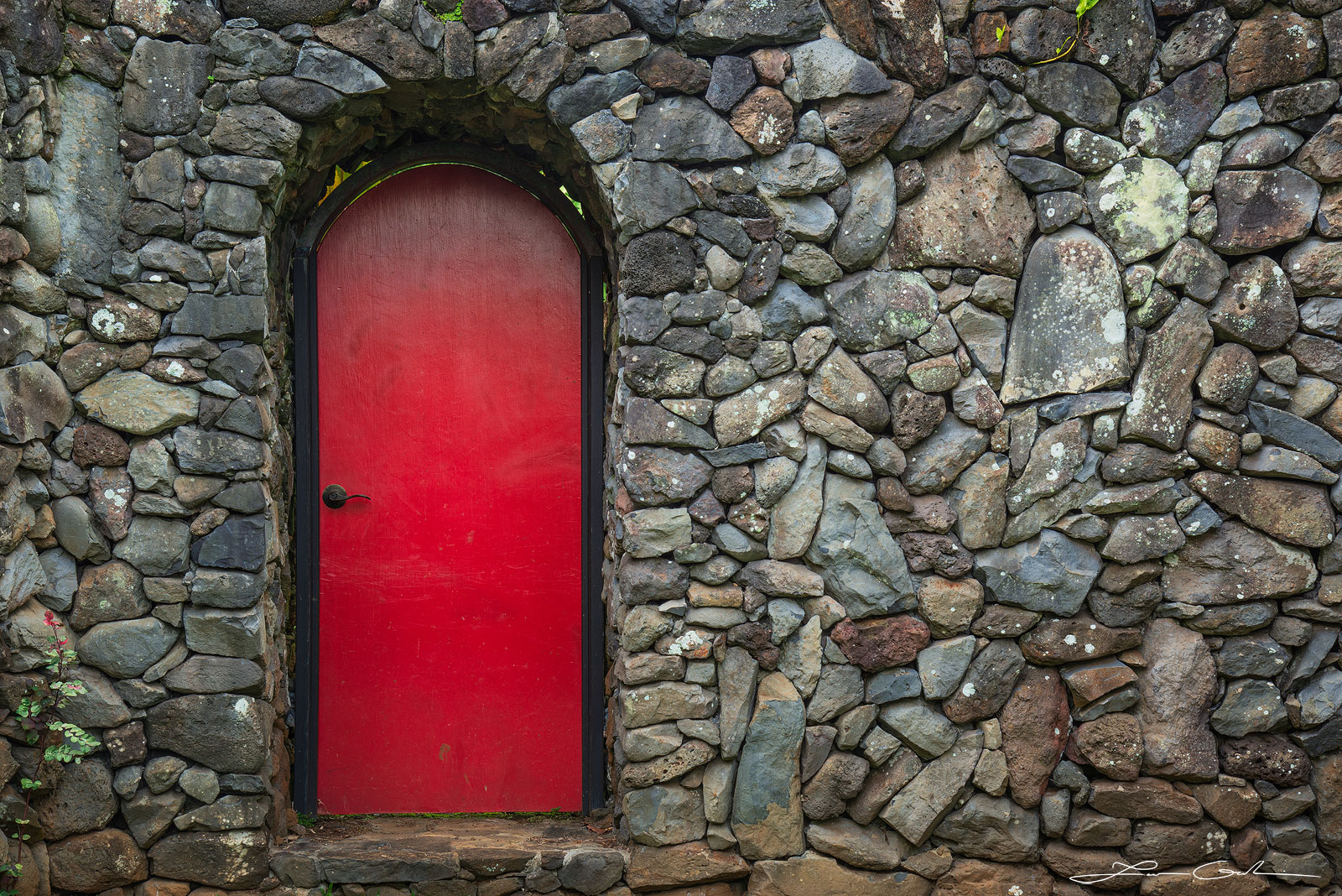 Fine art photography print 'The Scarlet Portal' depicting a vibrant red door embedded in a lava rock wall in Maui, with a single red flower in the foreground - Gintchin Fine Art