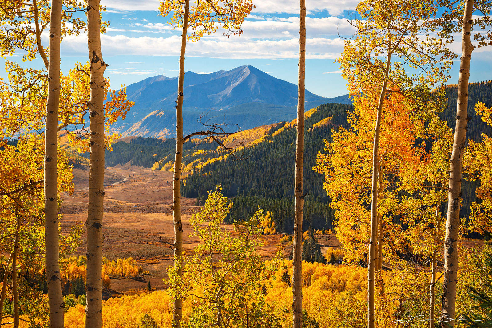 Colorful aspen trees and mountain vista in full fall foliage set against mountain peaks and a golden valley near Crested Butte, Colorado, showcasing the serene harmony of nature's autumn beauty. - Gintchin Fine Art