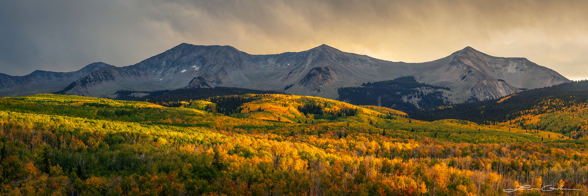 Panoramic view of dramatic light fall colors in a mountain landscape near Kebler Pass, Colorado, showcasing vibrant aspen trees under a golden sunset glow against shaded peaks. - Gintchin Fine Art