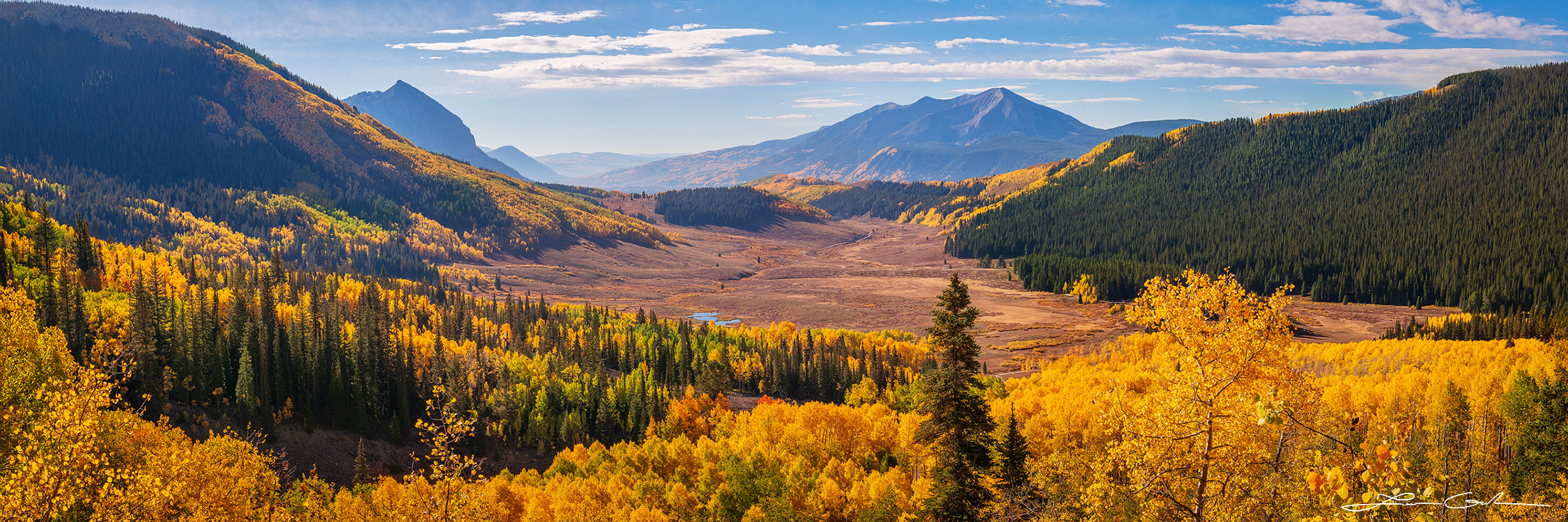 Panoramic view of vibrant Crested Butte fall colors in a Colorado mountain valley, showcasing golden aspen trees and evergreen forests under late morning sunlight. - Gintchin Fine Art